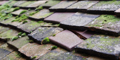 Chettisham roof repair costs